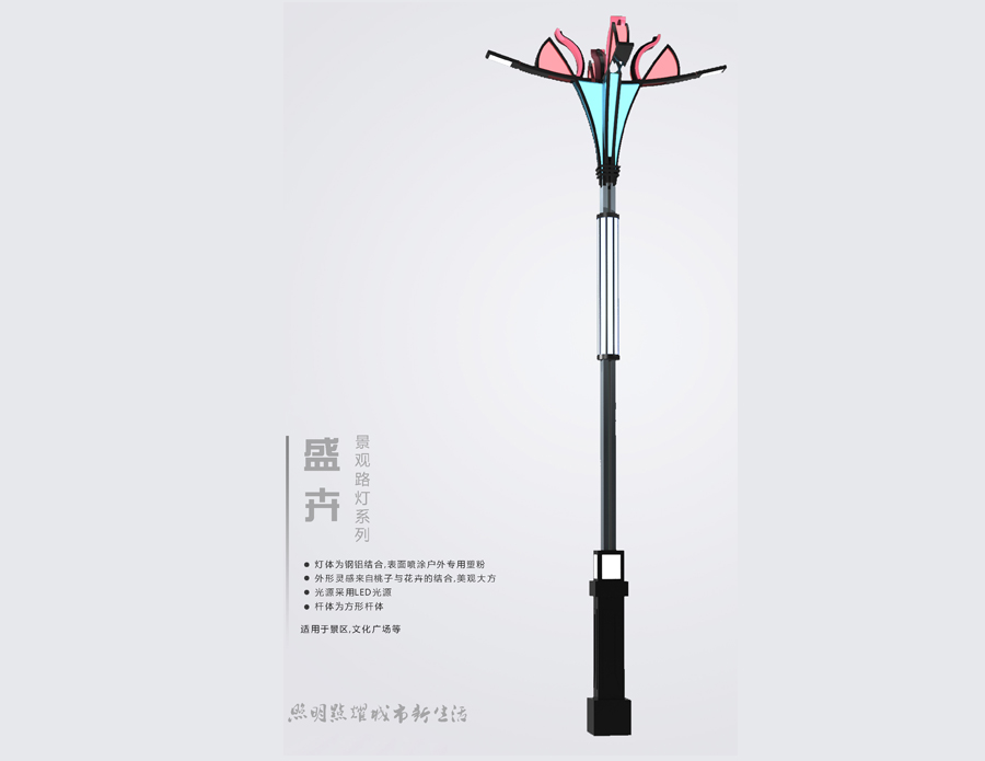 LED 景观灯-盛卉
